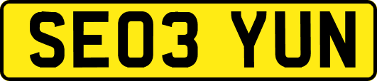 SE03YUN