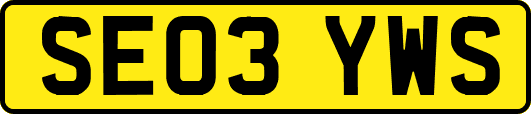 SE03YWS