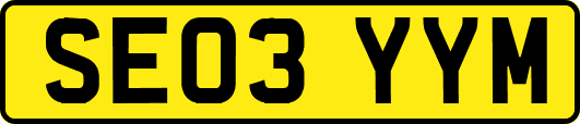 SE03YYM