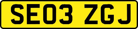 SE03ZGJ