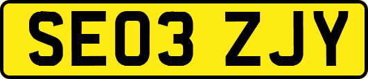 SE03ZJY