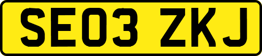 SE03ZKJ