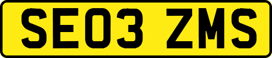 SE03ZMS