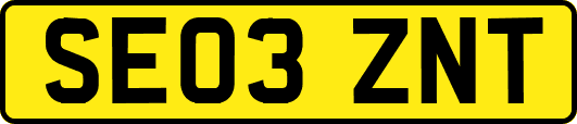 SE03ZNT