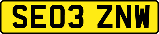 SE03ZNW