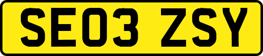 SE03ZSY