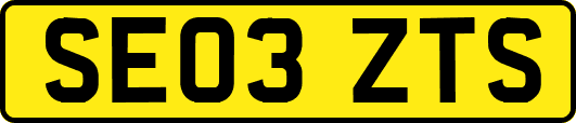SE03ZTS