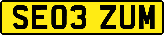 SE03ZUM