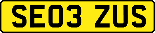 SE03ZUS