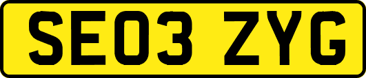 SE03ZYG