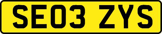 SE03ZYS
