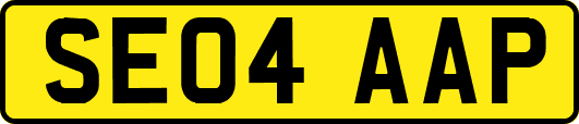 SE04AAP