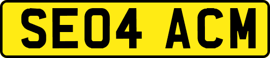 SE04ACM