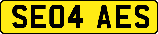 SE04AES