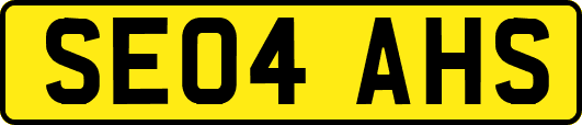 SE04AHS