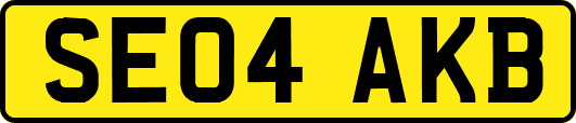 SE04AKB