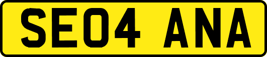SE04ANA
