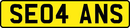 SE04ANS