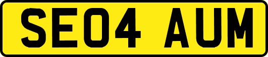 SE04AUM