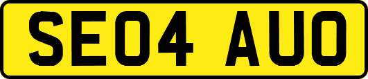 SE04AUO