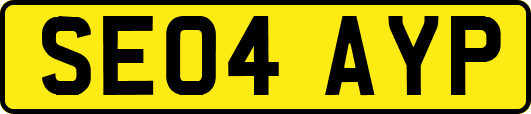 SE04AYP
