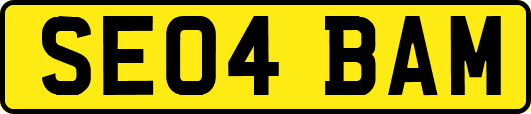 SE04BAM