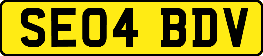 SE04BDV