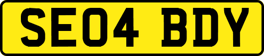SE04BDY