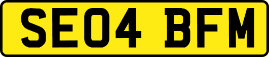 SE04BFM