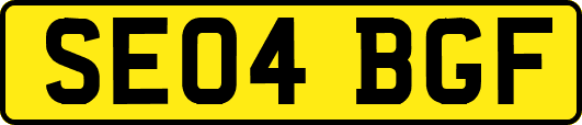 SE04BGF