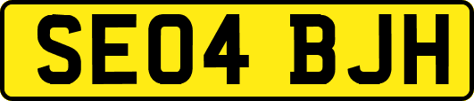 SE04BJH