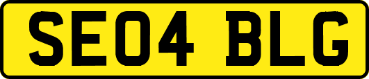SE04BLG