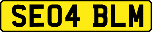 SE04BLM