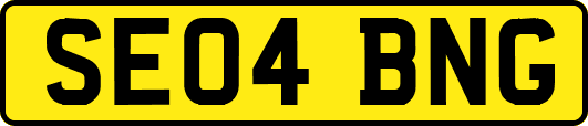 SE04BNG