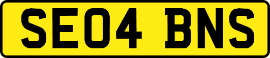 SE04BNS