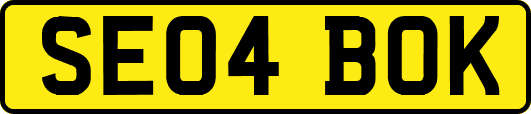 SE04BOK