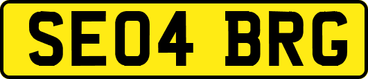 SE04BRG