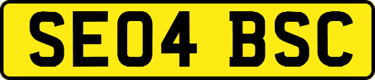 SE04BSC