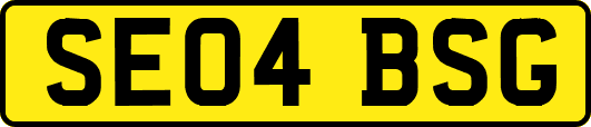 SE04BSG