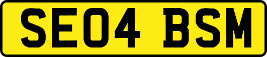 SE04BSM