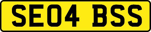 SE04BSS