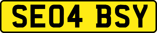 SE04BSY
