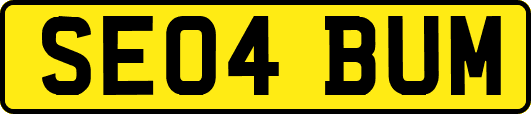 SE04BUM