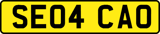 SE04CAO