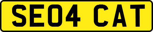 SE04CAT