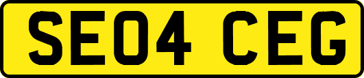 SE04CEG