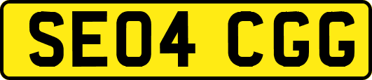 SE04CGG