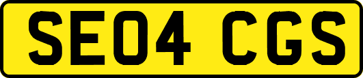 SE04CGS