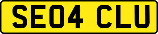 SE04CLU
