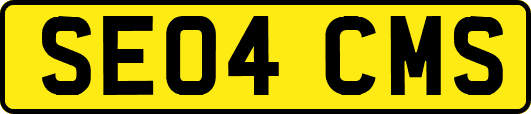 SE04CMS
